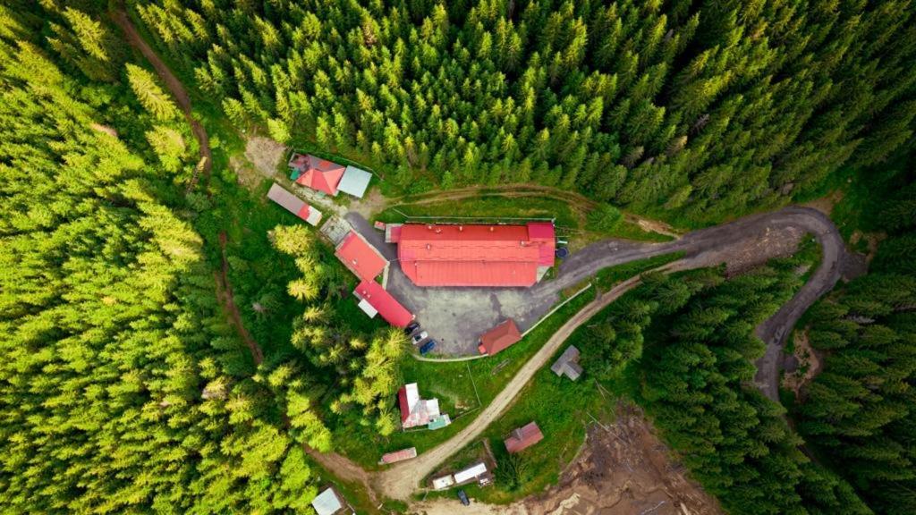 Cabana Cerbul-Oasa-Transalpina Ciban Exterior foto